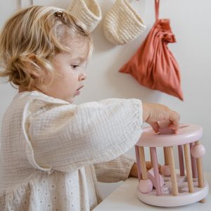 label-label-shape-sorting-wheel-pink (2)