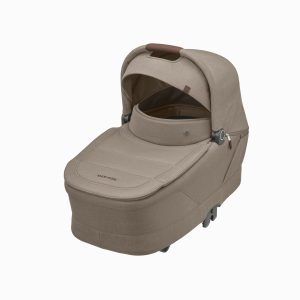 1733230542_d6316a4d7c7f4249c081d249a5ce9b81